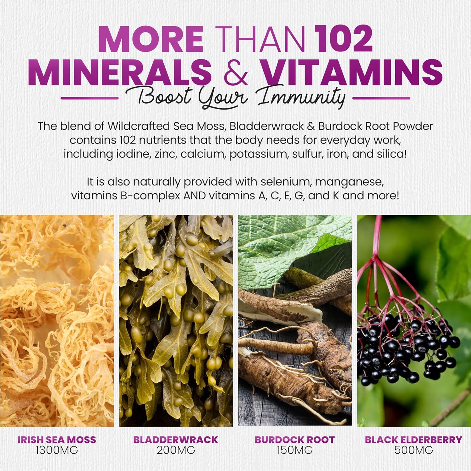 Irish Sea Moss Gummies with Elderberry & Black Seed Oil - Overall Wellness Support | Rich in Vitamins, Raspberry Flavor | 60 Gummies