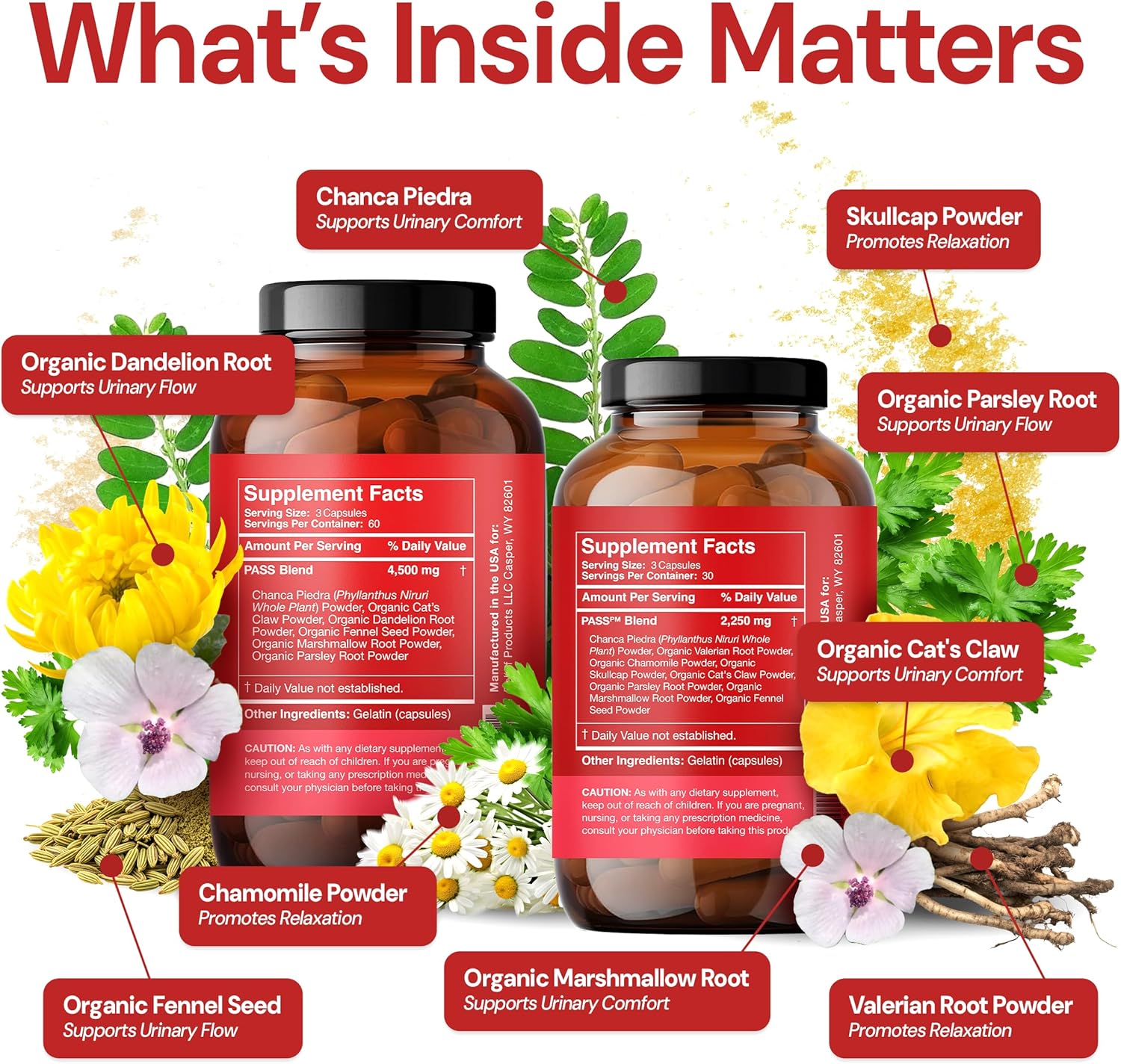 Pass Day + Night Bundle – 24/7 Herbal Kidney Support System for Urinary Comfort, Restful Sleep & Natural Wellness – Includes Guidebook & Stone Catcher – 270 Capsules Total