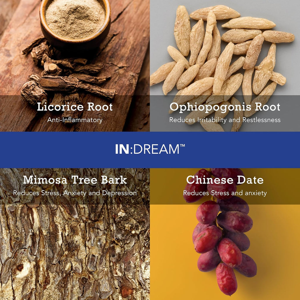 in Dream - Natural Sleep Aid Powder Drink Mix Herbal Adaptogen & Antioxidant Blend – Natural Night Sleep Drink for Deep Sleep, Relaxation & Recovery – Pomegranate Flavor, 20 Servings