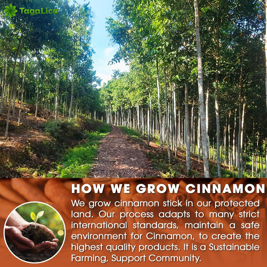 Tagalica 16 Cinnamon Tea Bags - 100% Natural & Pure Cinnamon Stick Herbal Tea. No Sugar, No Caffeine, No Gluten, Vegan