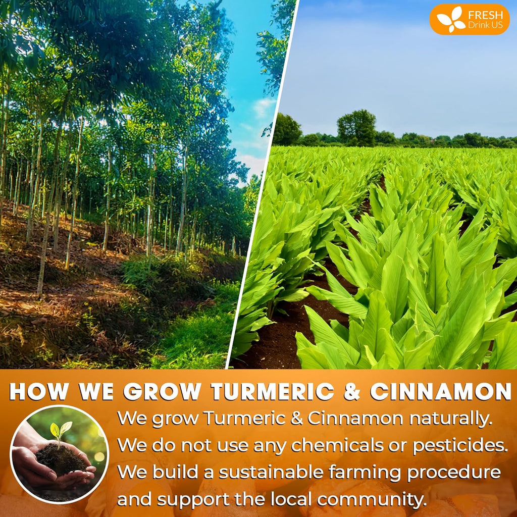 FreshDrinkUS, Premium 135 Turmeric Cinnamon Tea Bags, 100% Natural, Blend of Turmeric, and Cinnamon. Made with Natural Material Tea Bags. No Sugar. No Caffeine. Vegan.