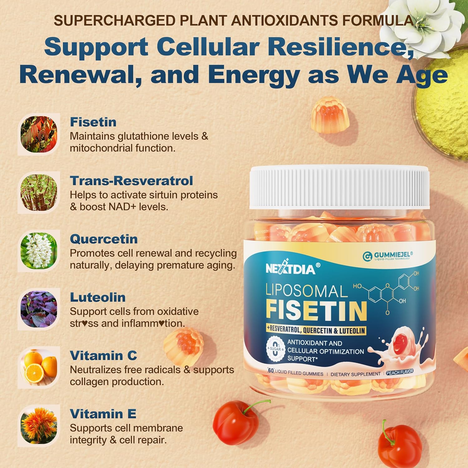 Liposomal Fisetin Complex Gummies - Healthy Aging & Cellular Renewal Support - 98% Purity Fisetin Supplement w/Trans-Resveratrol, Quercetin, Luteolin, Vitamin C & E, 1-A-Day, Vegan 120 Servings