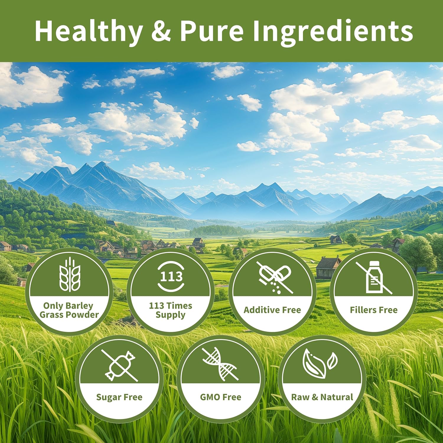 Hudetex Barley Grass Juice Powder 12 oz - 100% Pure Wheatgrass Powder, Supports Cardiovascular, Liver and Digestive Function, Vegan, No Maltodextrin & Sugar.