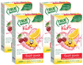 TRUE LEMON Fruit Punch Packets - Low Sugar, No Preservatives Kids Hydration Drink Mix (Pack of 4)
