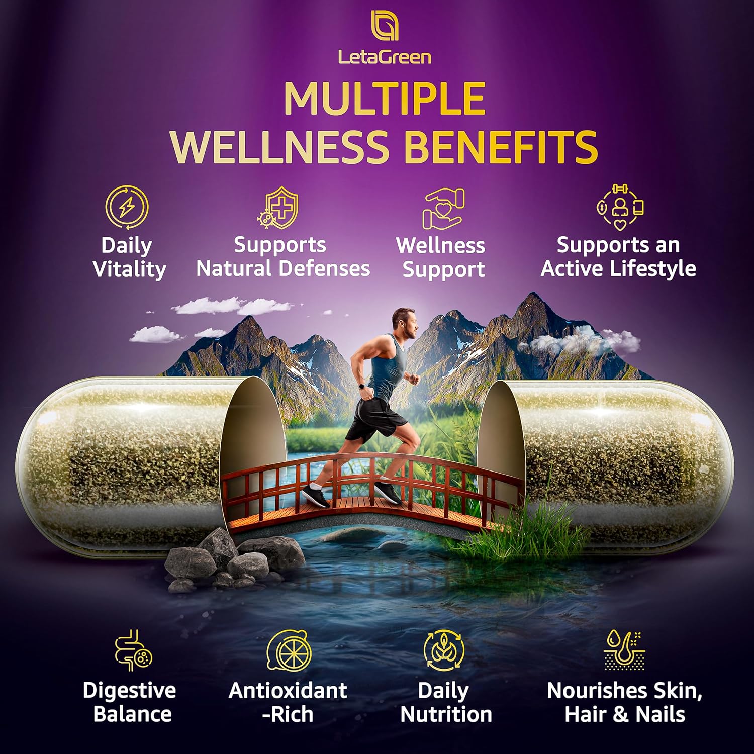 Sea Moss Capsules – 17-in-1 Blend with Black Seed Oil Ashwagandha Bladderwrack Burdock Root Turmeric Vitamin D3 K2 C for Daily Wellness – Multimineral Supplement for Men & Women – 120 Count