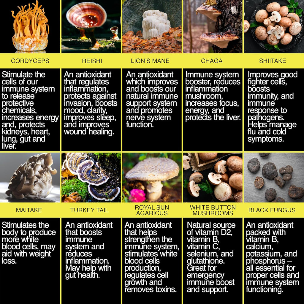 THE ENCLARE NUTRITION Mushroom Supplement 10in1 Complex Immune Support Lions Mane, Reishi, Turkey Tail, Cordyceps, Chaga, Maitake, Shiitake, Agaricus: Nootropic Brain, Energy Booster (1)