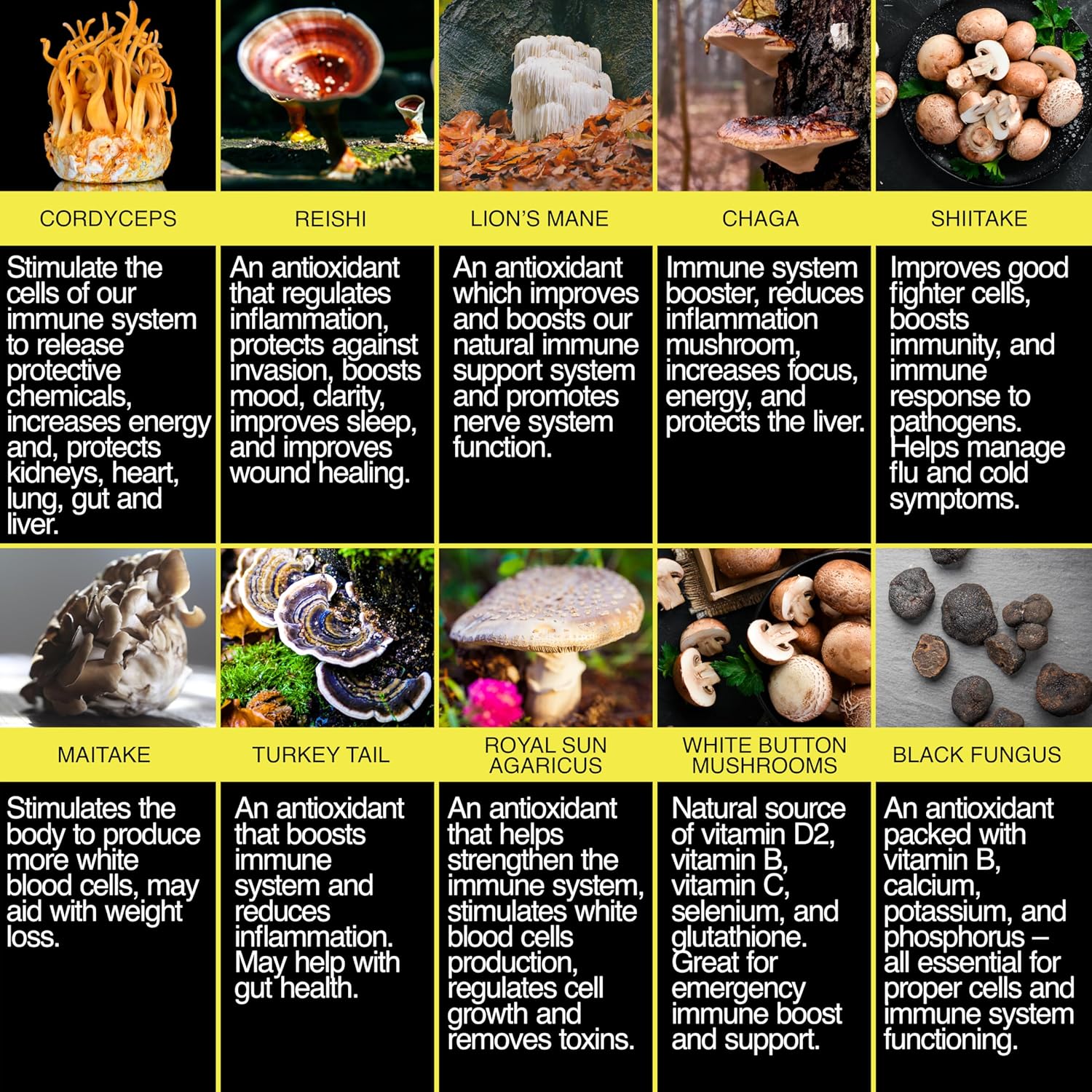 THE ENCLARE NUTRITION Mushroom Supplement 10in1 Complex Immune Support Lions Mane, Reishi, Turkey Tail, Cordyceps, Chaga, Maitake, Shiitake, Agaricus: Nootropic Brain, Energy Booster (1)