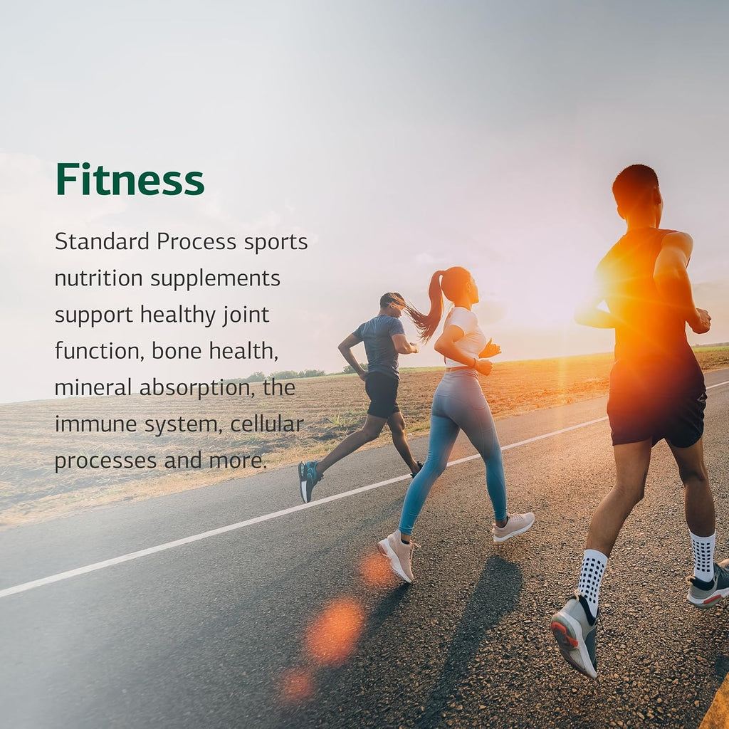 Standard Process Cataplex E2 - Vitamin E & Selenium Supplement for Cardiovascular & Cellular Health - Antioxidant Support for Heart Health - Non-Dairy & Non-Soy - 90 Tablets