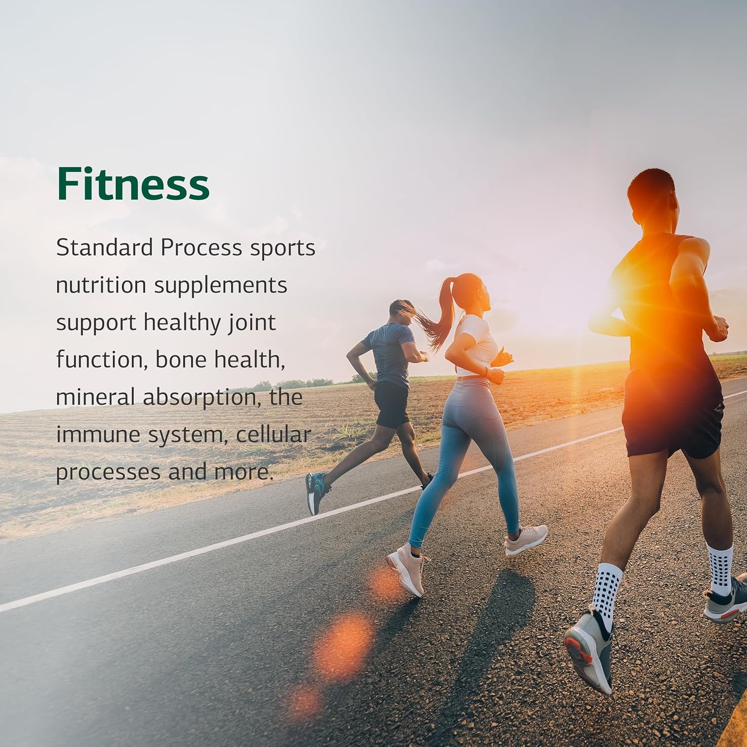Standard Process Cataplex E2 - Vitamin E & Selenium Supplement for Cardiovascular & Cellular Health - Antioxidant Support for Heart Health - Non-Dairy & Non-Soy - 90 Tablets