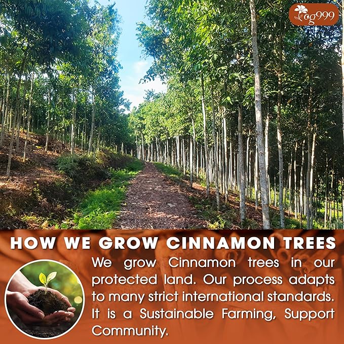 TOG999 Cinnamon Tea, 35 Tea Bags, Pure Ceylon Cinnamon, Natural & Vegan, Caffeine Free, Gluten Free, Herbal Tea