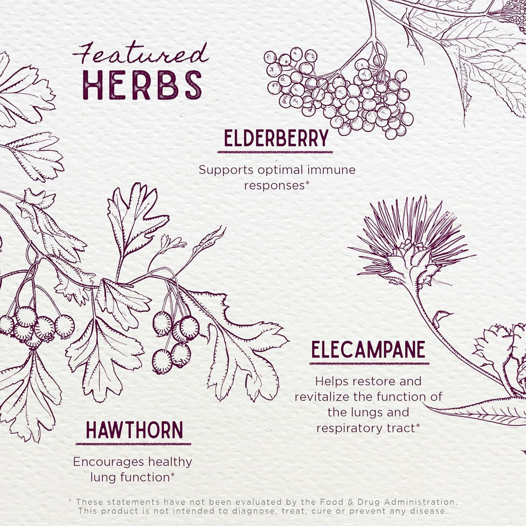 WishGarden Herbs Serious Cough AM Soothing Syrup - Natural Herbal Daytime Non-Drowsy Cough Suppressant for Adults with Elderberry Calms Cough Reflex, Normalizes Mucus Production, Opens Chest, 4oz
