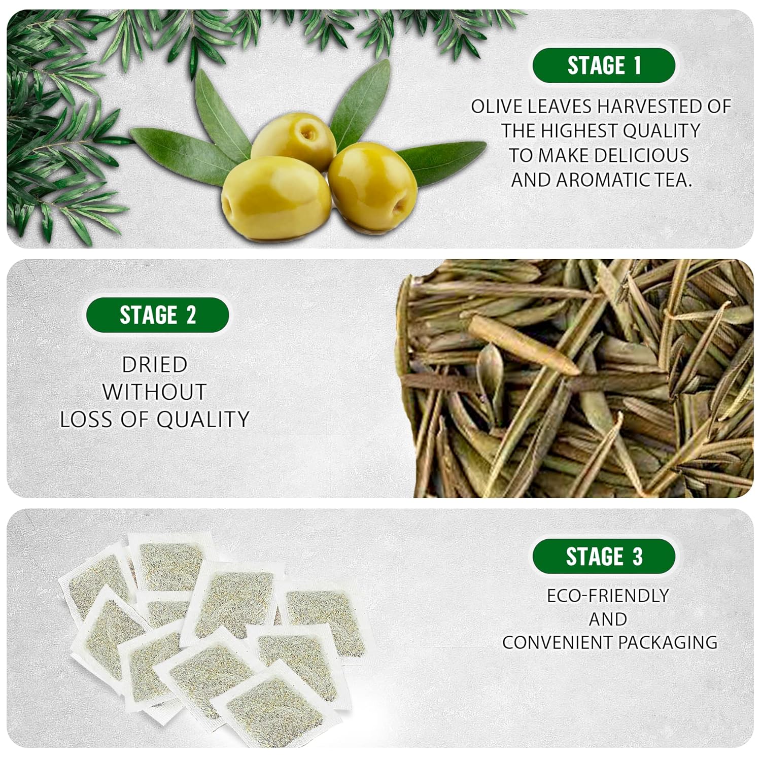 Olive Leaf Tea Bags – 200 Bags (Premium Dried Olive Leaf Tea - 200 Count), Natural Extract Caffeine-Free Herbal Tea for Health & Immune Support