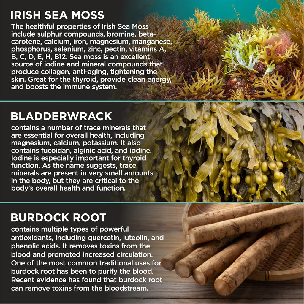 Organic Irish Sea Moss with Bladderwrack, Burdock Root & Black Pepper Extract, 150 Capsules, Thyroid Support, Natural Iodine Source, Promotes Immune System, Cell Food, Alkaline Supplement