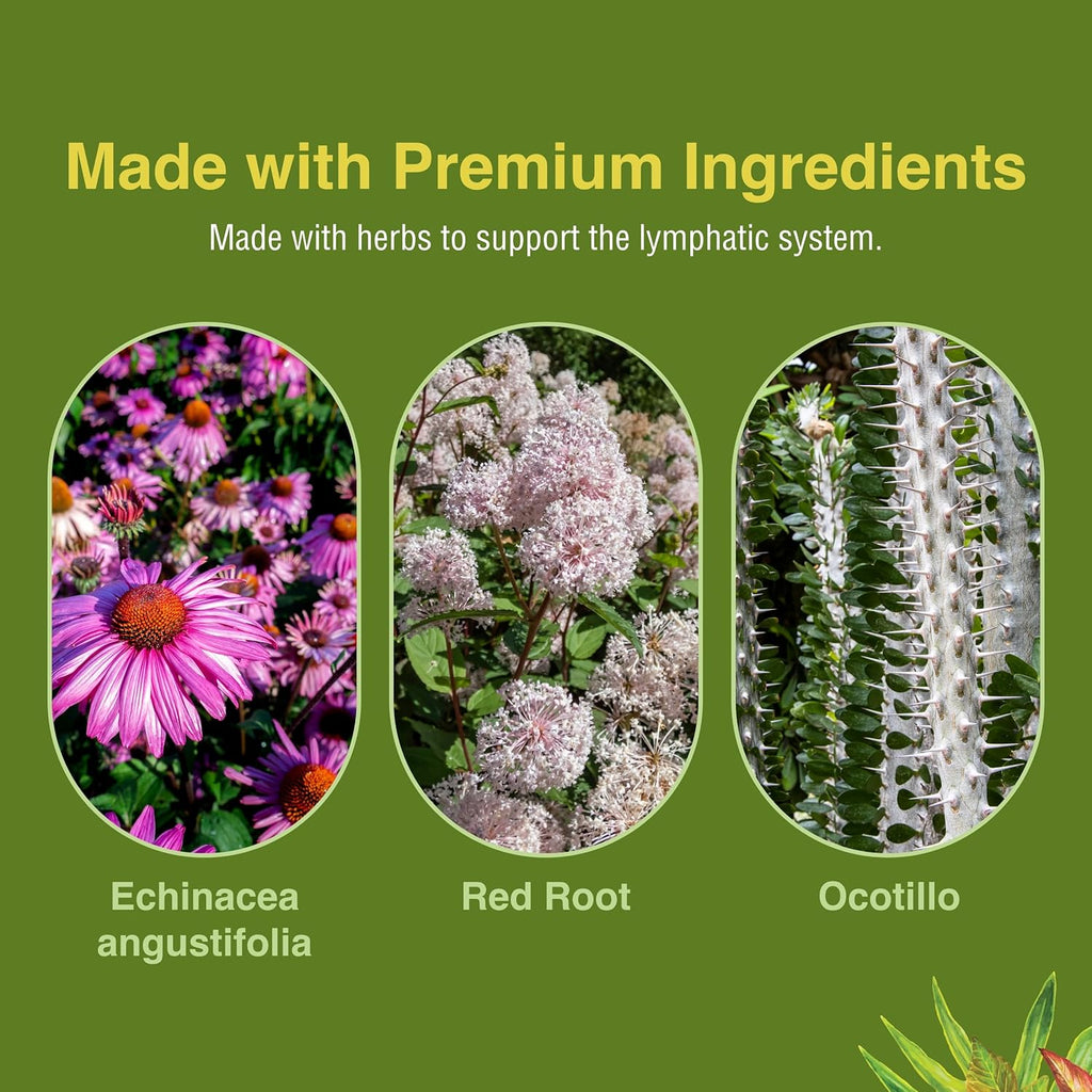 Herbs Etc. Lymphatonic Softgels - Lymph System Support - Support a Healthy Lymphatic System - Gluten-Free Herbal Supplement - 60 Softgels (60 Servings) - 2 Pack