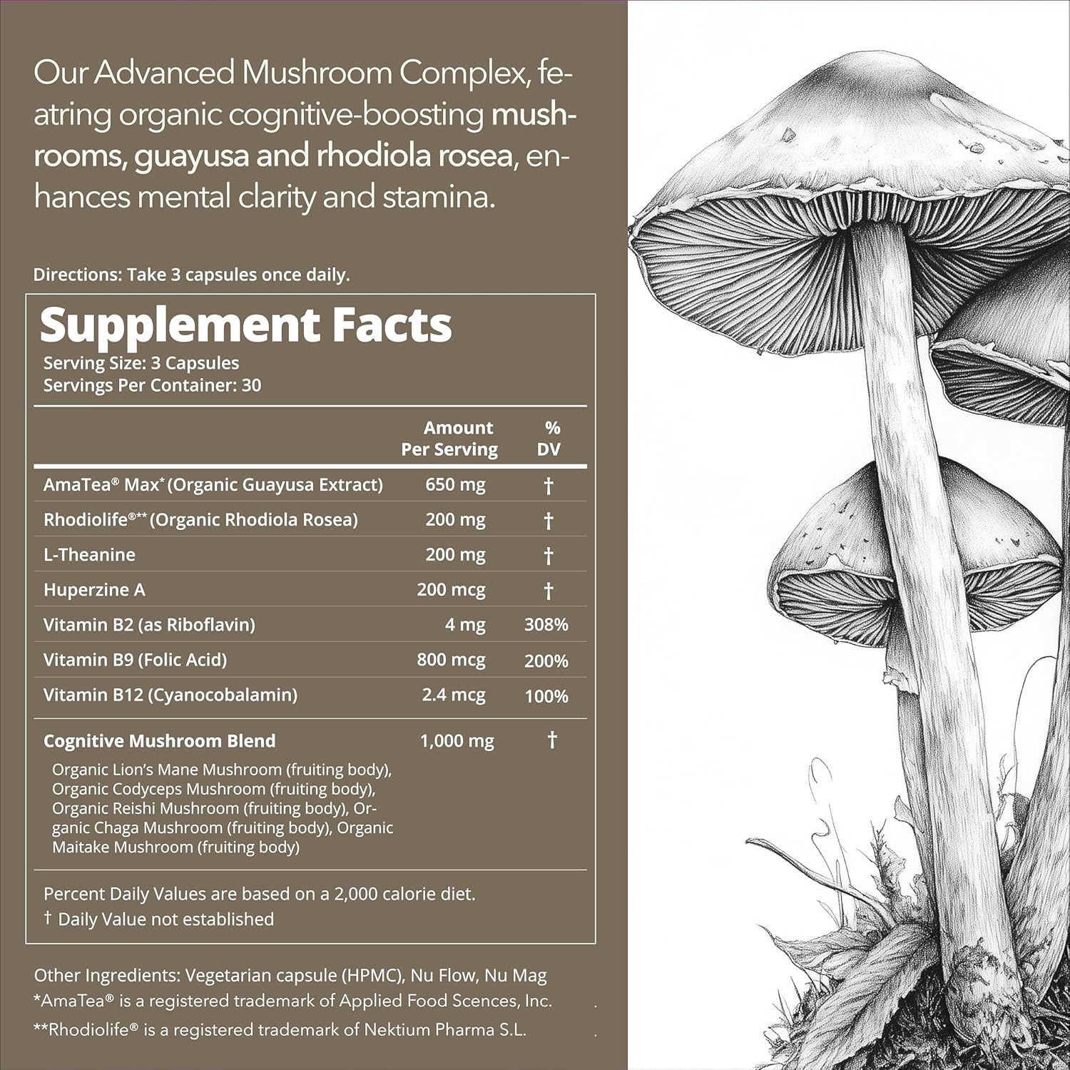 Organic Mushroom Supplement with Cognitive Nootropic Mushroom Blend - Lion’s Mane, Cordyceps, Reishi, Chaga, Maitake + Amatea Max, Rhodiolife Rhodiola Rosea, L-Theanine + B-Vitamins, 30-Day Supply