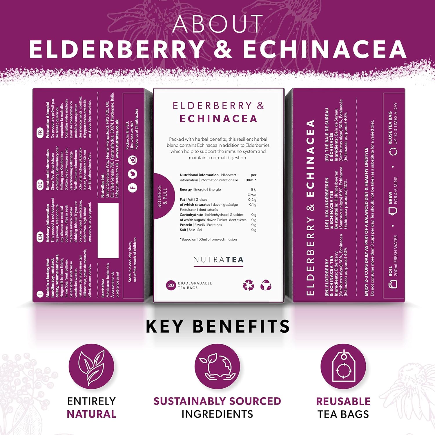 Nutra Tea Elderberry & Echinacea Immunity - 60 Tea Bags (3 Pack)