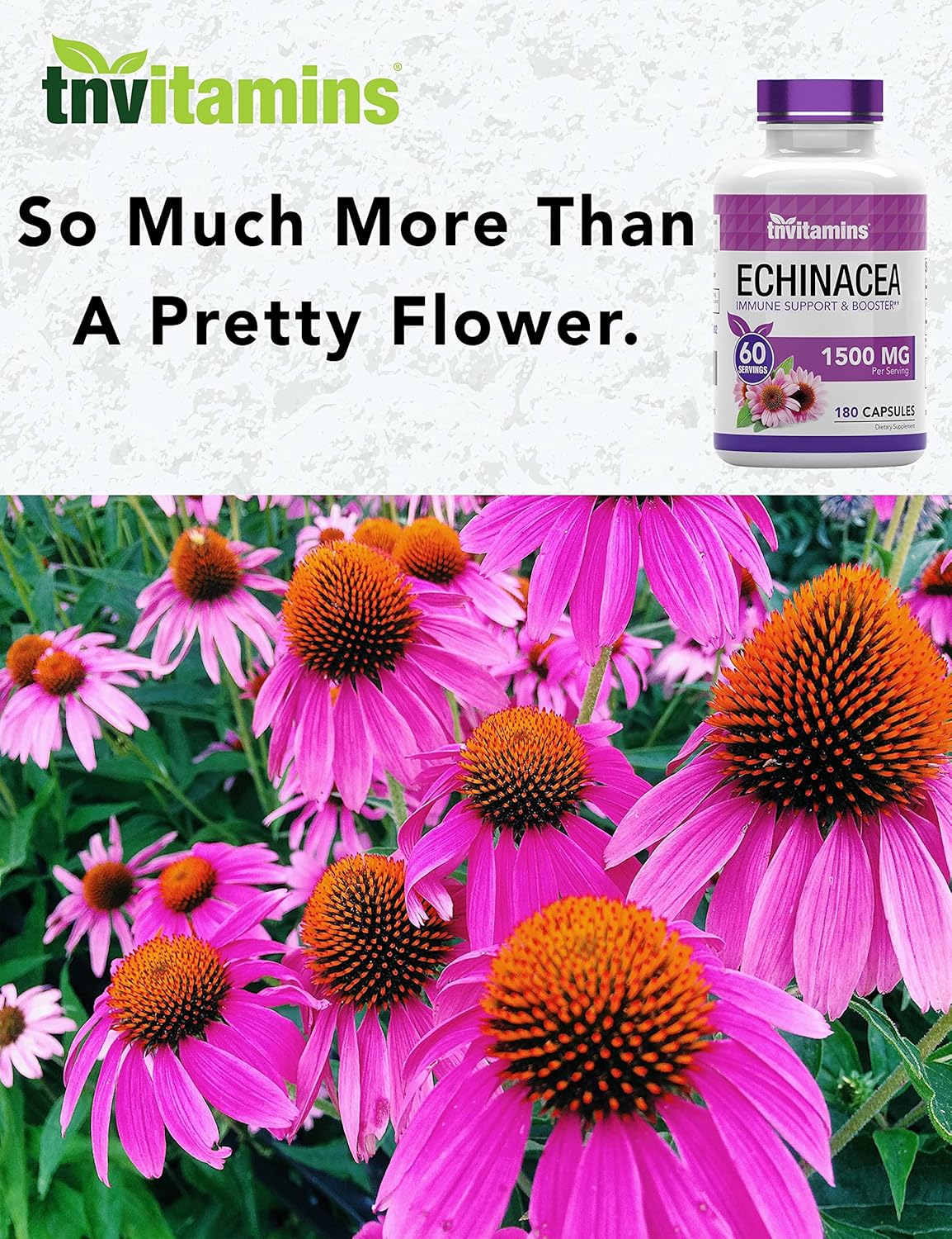 tnvitamins Echinacea Capsules (1500 mg Per Serving - 180 Capsules) | Supports Health & Well-Being | Echinacea Root Herbal Extract Supplement | Produced in The USA