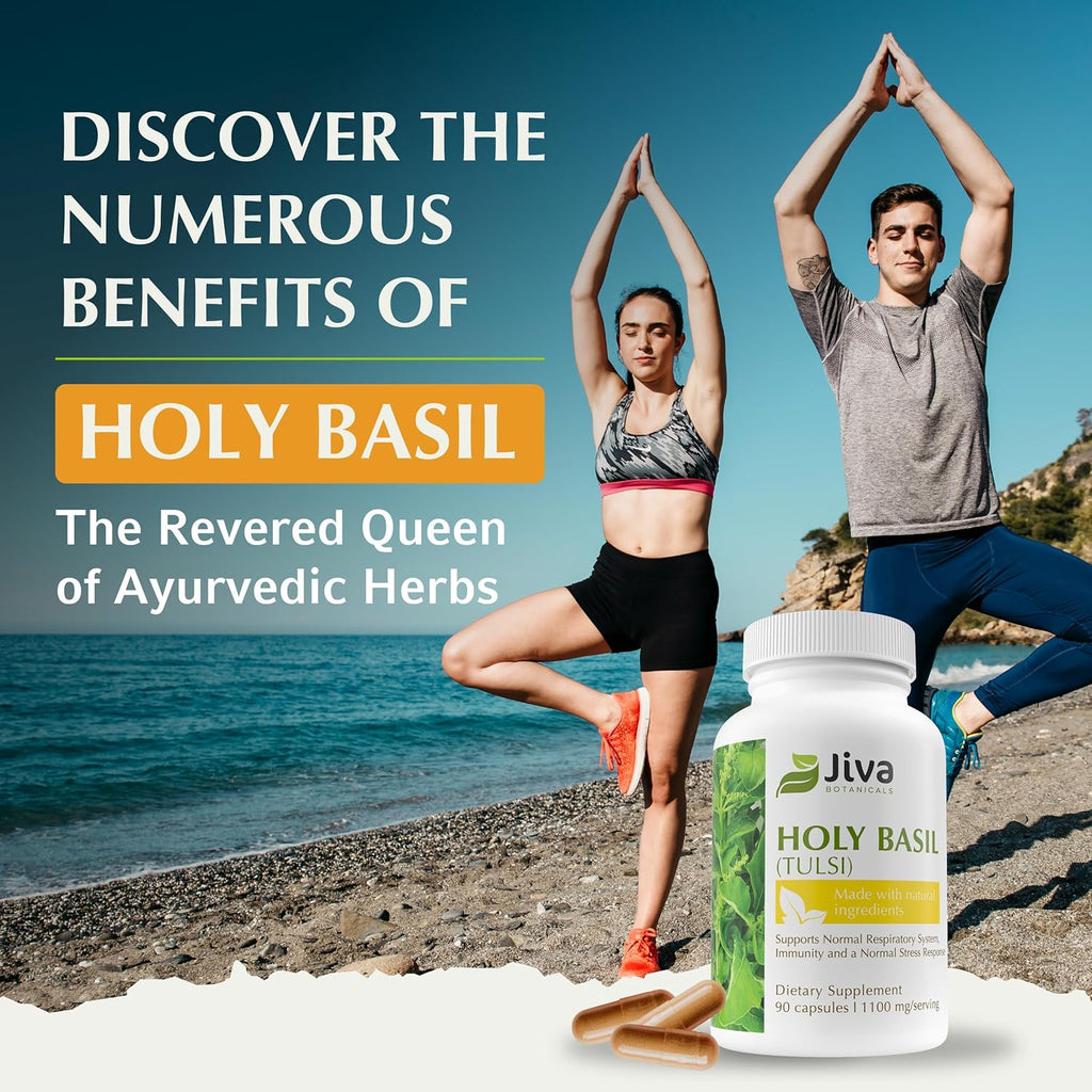 Jiva Botanicals Holy Basil Capsules - Premium Holy Basil Extract with Tulsi Powder - Ayurvedic Herb Alternative to Tincture -90 Vegan Capsules