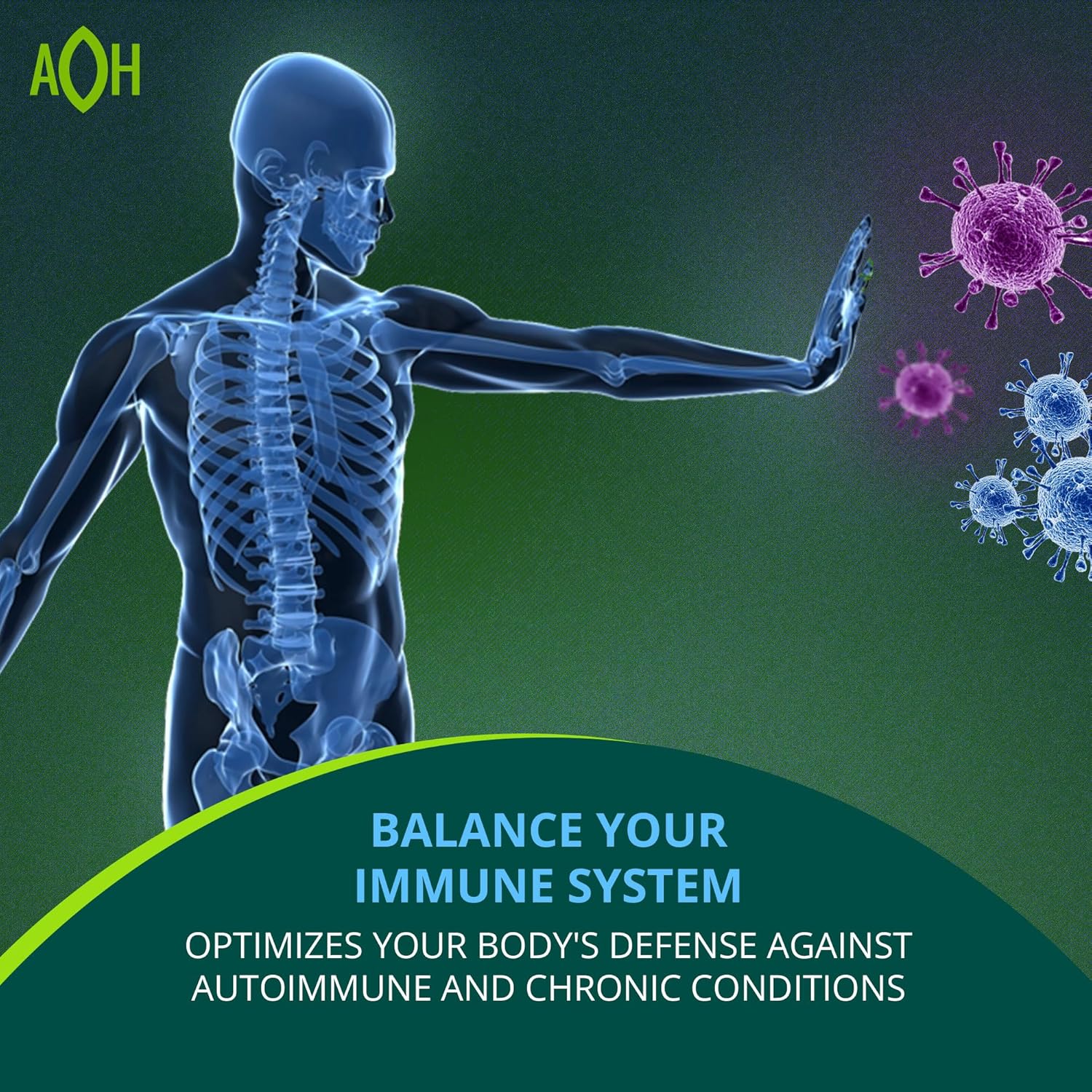Immodulator - Adaptogenic Supplement for Well-Being, with Ginseng, Ashwagandha, Reishi Mushroom - Supports Stress Response, Mood Balance and Immune System Function (90 Capsules/700 mg)
