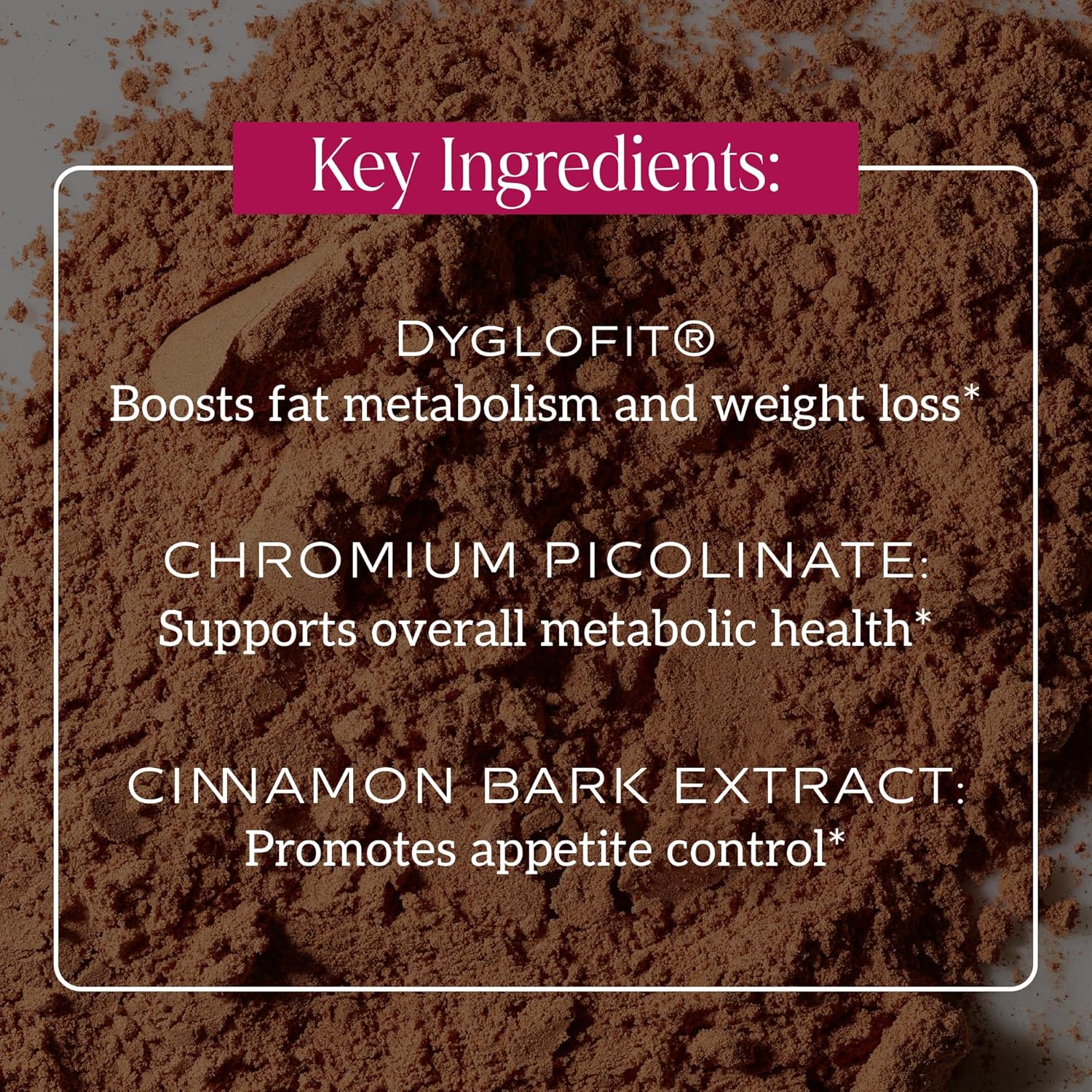 Metabolism Super Powder – Natural Support for Appetite Control, Weight Management Support and Curbed Cravings – Vegan, Non-GMO, Chocolate Flavor – 24 Servings
