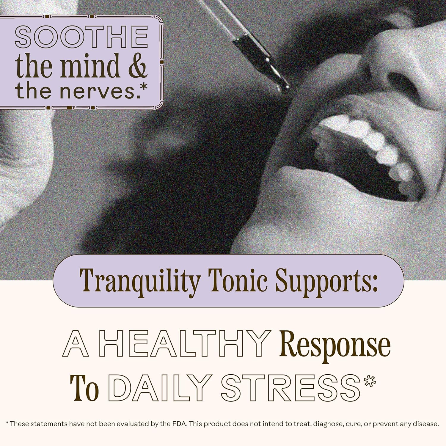 Wooden Spoon Herbs Tranquility Tonic | Organic Stress Relief & Sleep Aid Tincture | Unique Herbal Blend of Skullcap, Ashwagandha, Oat Tops, Holy Basil, Lavender | 2oz, 32 Servings