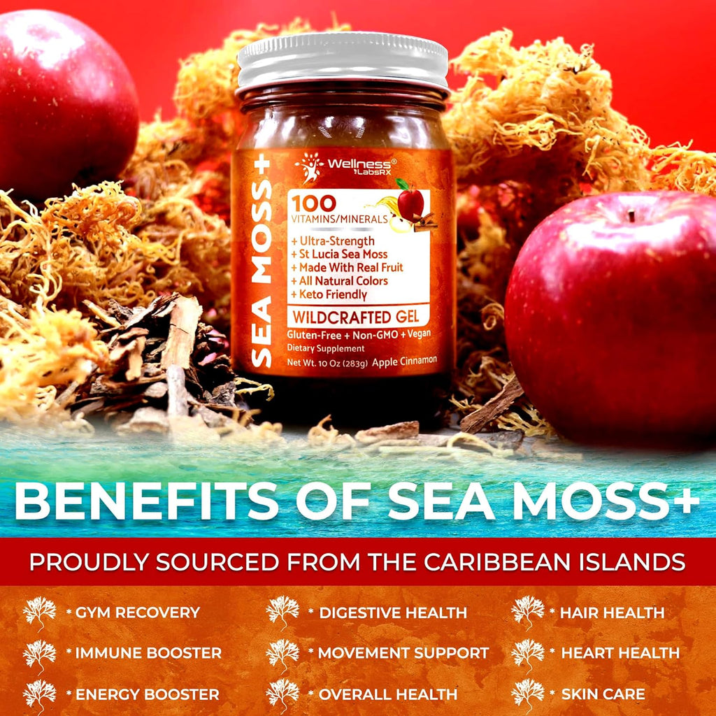 Irish Sea Moss Gel Raw - Wildcrafted Superfood Seamoss Gel - Apple Cinnamon Flavor, Vitamin and Mineral-Rich from Pristine Caribbean Waters, Immune and Digestive Health Support - 10 oz