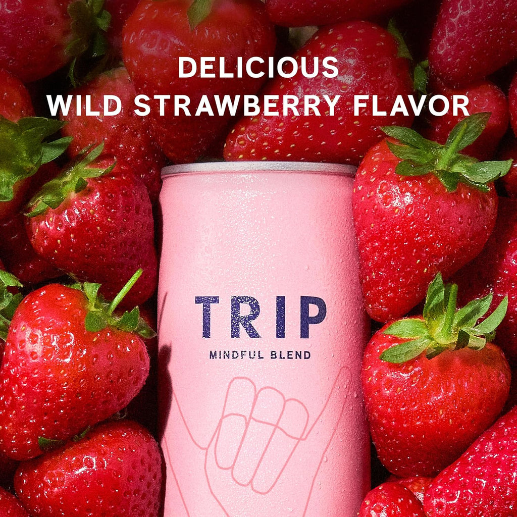 Trip Drink Mindful Blend, Lightly Sparkling Calming Drink, Adaptogen Drink 120 MG Magnesium Citrate with Ashwagandha, Lions Mane & L Theanine, No Added Sugar, Low Calorie, Vegan, Wild Strawberry, 12 Oz, 12Pk