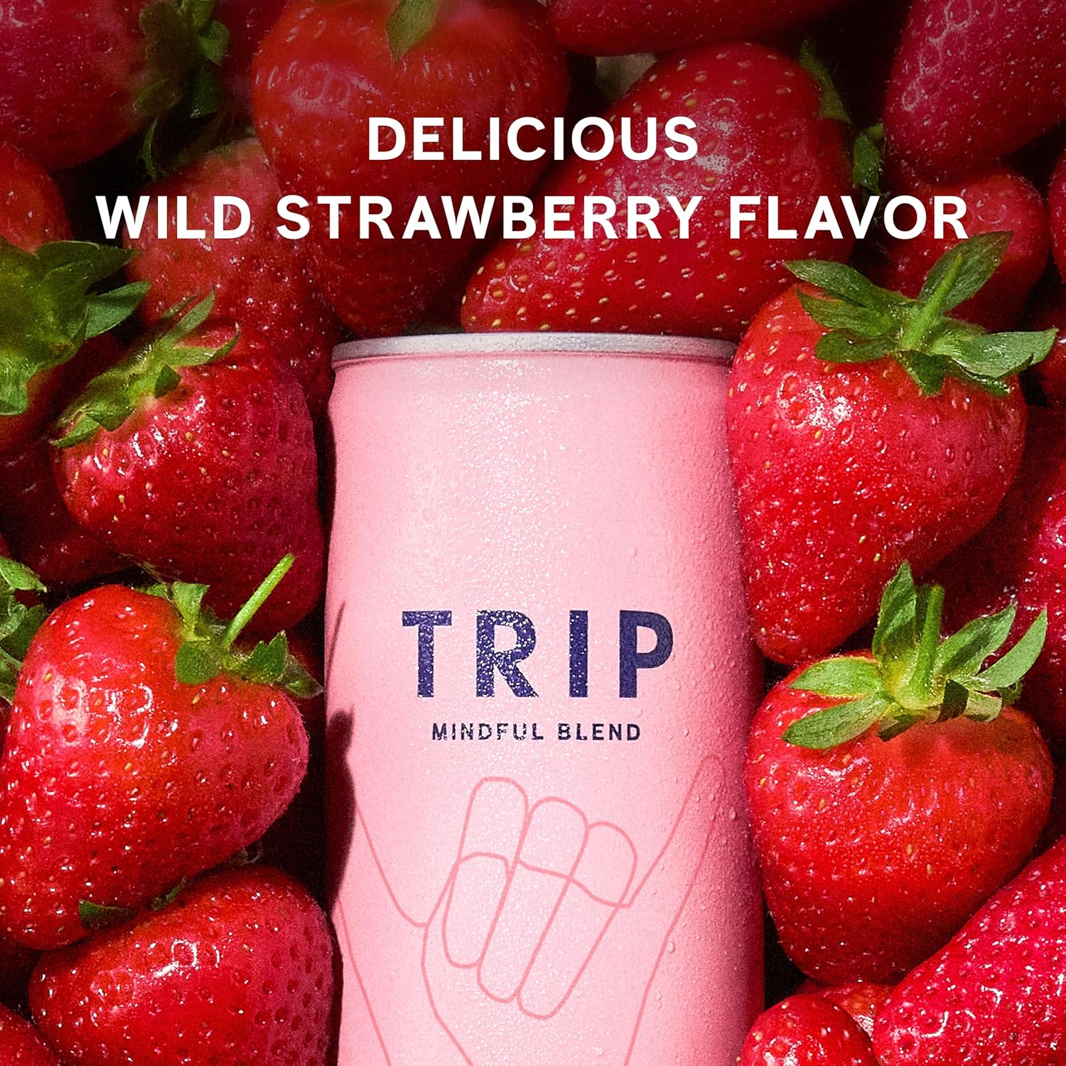 Trip Drink Mindful Blend, Lightly Sparkling Calming Drink, Adaptogen Drink 120 MG Magnesium Citrate with Ashwagandha, Lions Mane & L Theanine, No Added Sugar, Low Calorie, Vegan, Wild Strawberry, 12 Oz, 12Pk