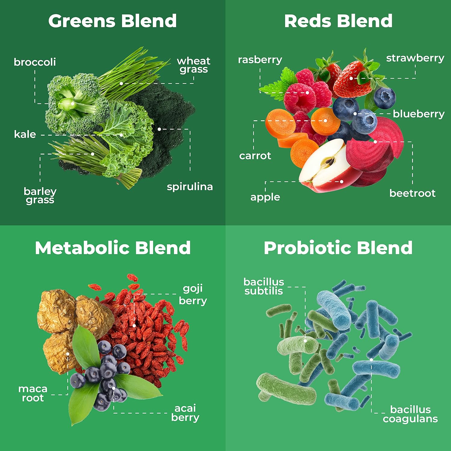 Greens Powder Travel Packs - 14 Servings for Memory, Digestion I Best Taste Super Greens Powder with Organic Spirulina, Goji, Beetroot, Pomegranate I Vegan, Non-GMO