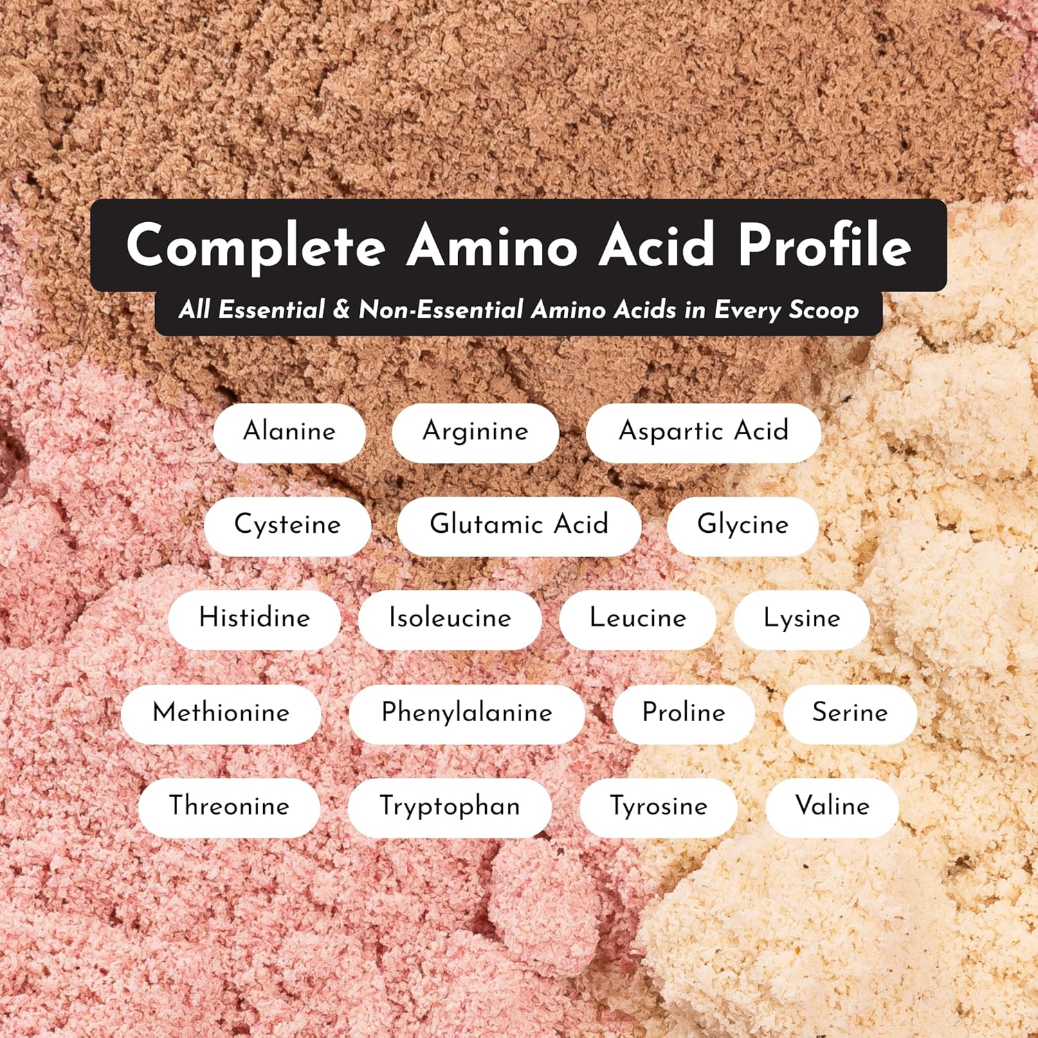 JUST INGREDIENTS Creamy Peanut Butter Chocolate Protein Powder – 30-ServingBlend with Grass-Fed Whey, Pea, Pumpkin Seed, Chia & Collagen – No Sugar Added – No Gums 24g Protein