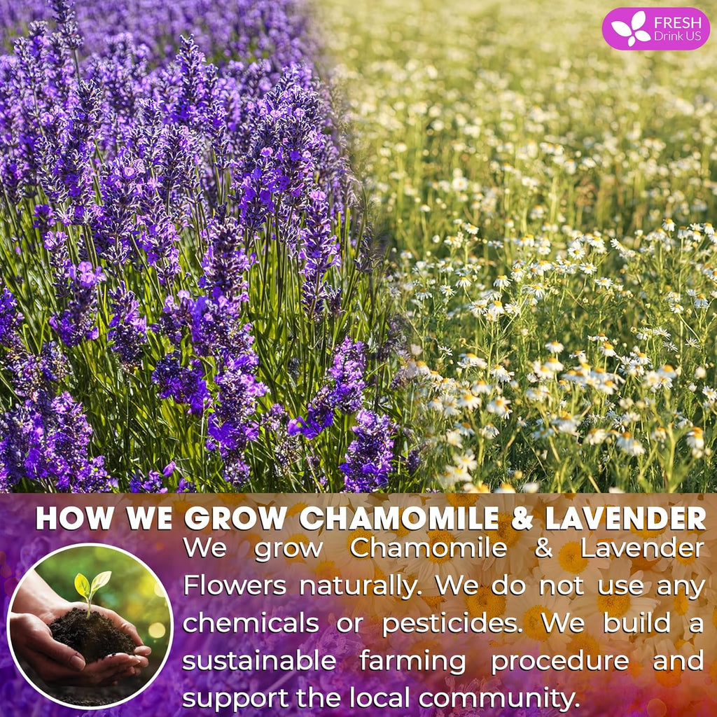 FreshDrinkUS, Premium 60 Chamomile Lavender Tea Bags, Calming Herbal Blend Strong Support for Relaxation & Better Sleep | Naturally Caffeine-Free Bedtime Tea with Soothing Floral Aroma, 100% Natural, Hand-made No Sugar/ Caffeine/ Gluten, Vegan