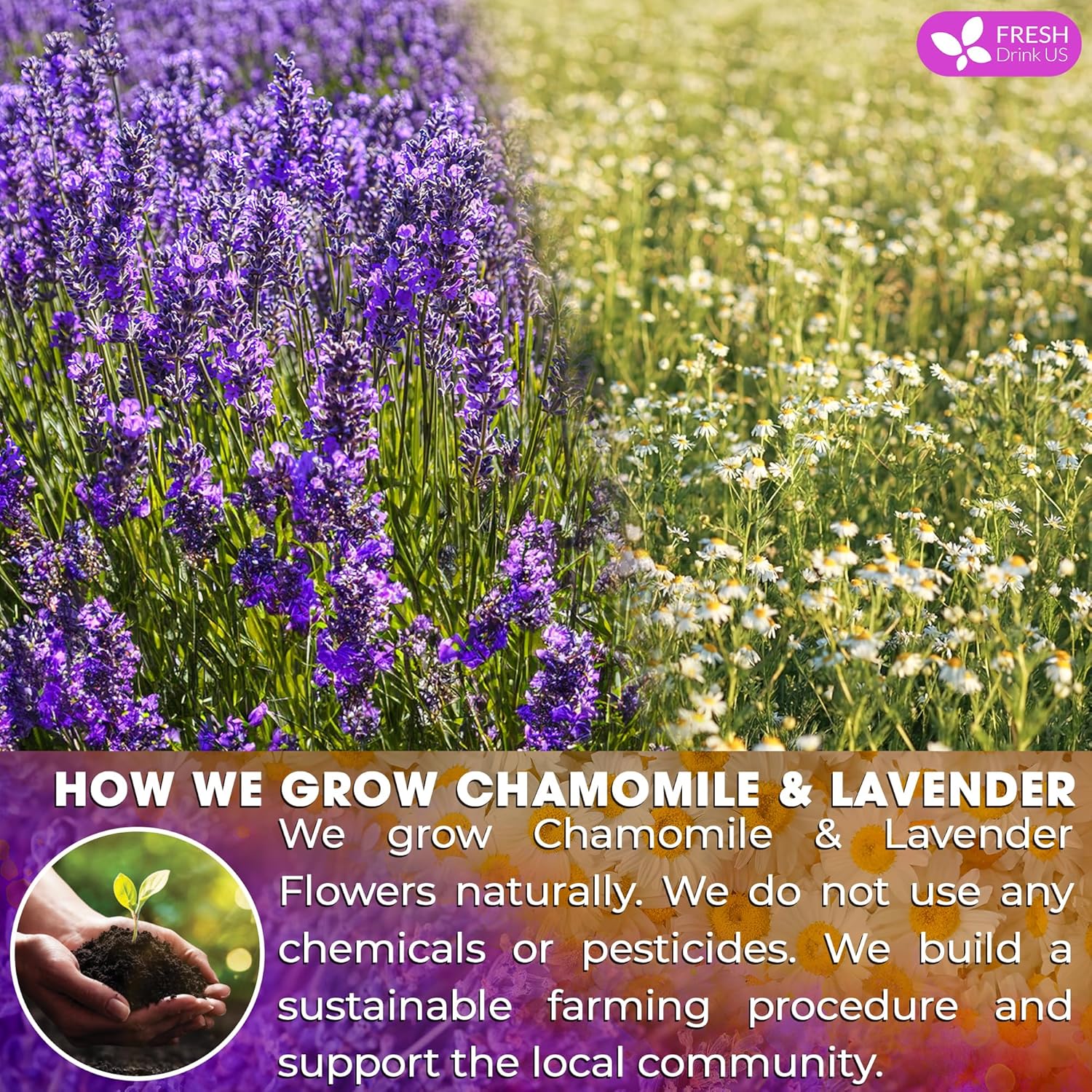 FreshDrinkUS, Premium 60 Chamomile Lavender Tea Bags, Calming Herbal Blend Strong Support for Relaxation & Better Sleep | Naturally Caffeine-Free Bedtime Tea with Soothing Floral Aroma, 100% Natural, Hand-made No Sugar/ Caffeine/ Gluten, Vegan