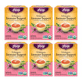 Yogi Tea Echinacea Immune Support Tea - 16 Tea Bags per Pack (6 Packs) - Organic Immunity Support Tea - Includes Peppermint Leaf, Lemongrass, Cinnamon Bark, Echinacea Purpurea, Licorice Root & More