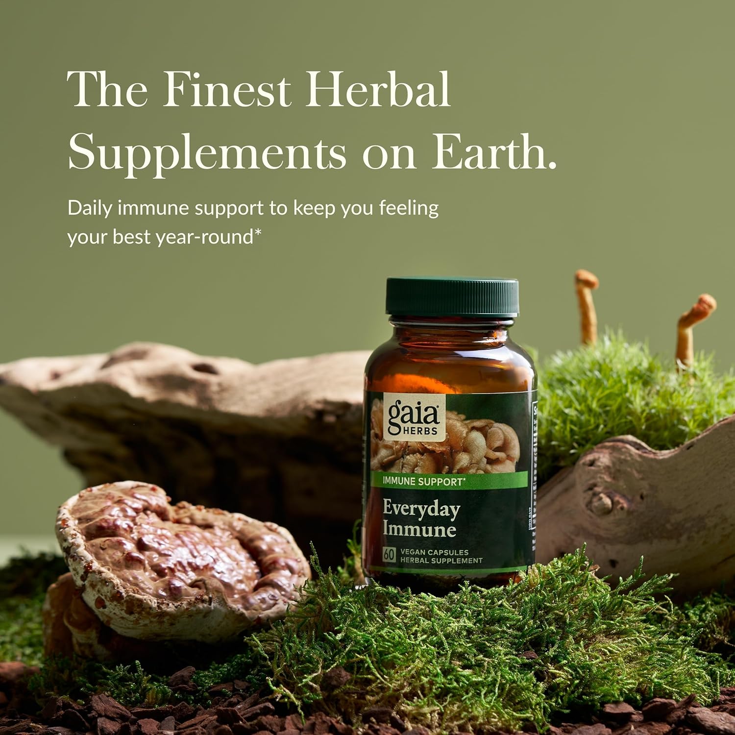 Gaia Herbs Everyday Immune Mushrooms&Herbs-Immune Support Supplement to Help Aid Overall Wellness* -with Turmeric Curcumin, Astragalus, Cordyceps, and Chaga Mushrooms-60 Vegan Capsules(30-Day Supply)