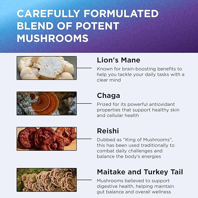 DR. EMIL NUTRITION 9000mg Organic Lions Mane Supplement Capsules with Chaga, Reishi & Maitake - Natural Mushroom Blend for Wellness Support