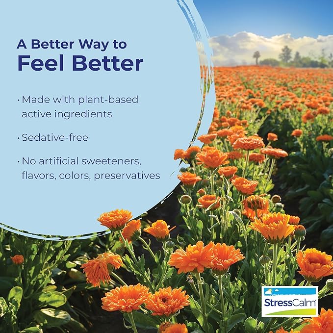 Boiron StressCalm Tabs - 100 Count for Relief of Stress, Anxiousness, Nervousness, Irritability, and Fatigue - Convenient Stress Calm Meltaway Tablets