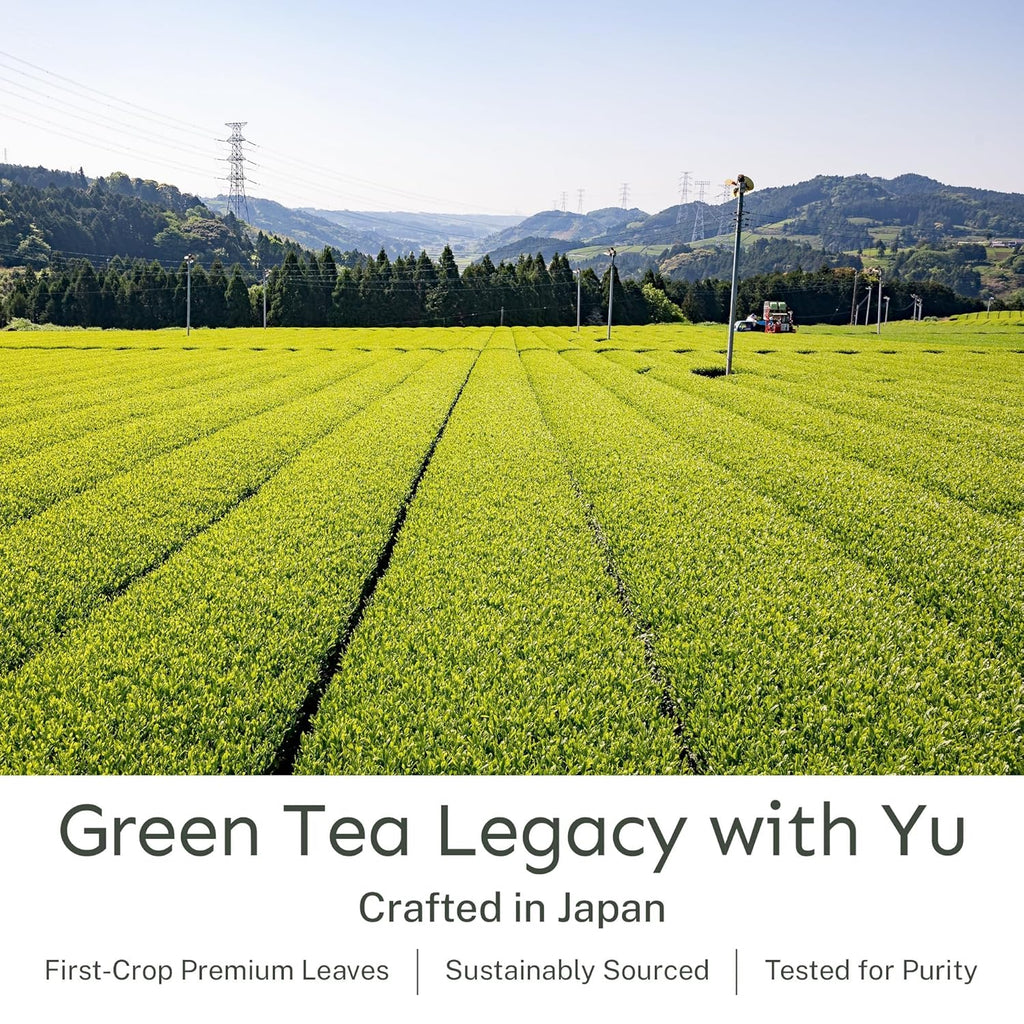 Yu Tea Organic Sencha Green Tea Powder, 30 Instant Packets | Rich in Antioxidants, EGCG, & L-Theanine | Pure Japanese First Harvest Leaf | Low Caffeine & Unsweetened | Single Serve Sticks