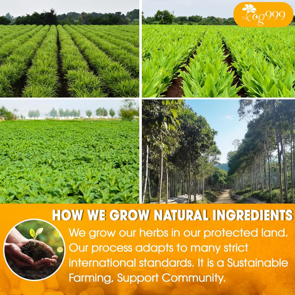TOG999, 6oz/100 cups Anti-Inflammaheb Loose Leaf Tea | 100% Natural Blend of Ginger, Turmeric, Peppermint, Black Pepper & Cinnamon | Caffeine-Free, Sugar-Free, Gluten-Free, Vegan, Handcrafted
