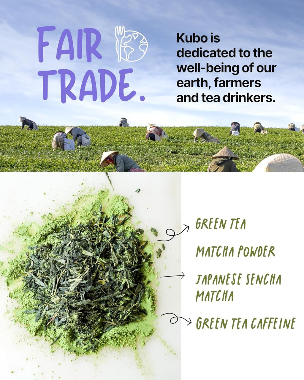 Kubo Tea Japanese Sencha Matcha Tea - Organic High Caffeine Energy Blend w/ Matcha Powder - 20 Pillow Tea Bags (140mg Caffeine each) - Coffee Substitute for Hot & Iced Drinks, Biodegradable & Compostable Packaging