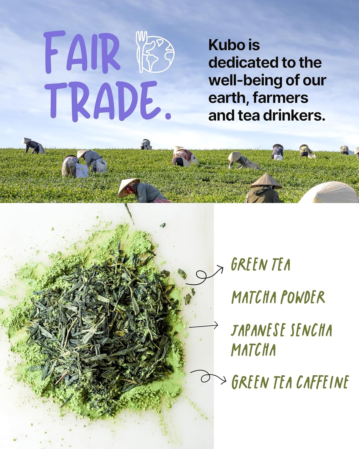 Kubo Tea Japanese Sencha Matcha Tea - Organic High Caffeine Energy Blend w/ Matcha Powder - 20 Pillow Tea Bags (140mg Caffeine each) - Coffee Substitute for Hot & Iced Drinks, Biodegradable & Compostable Packaging