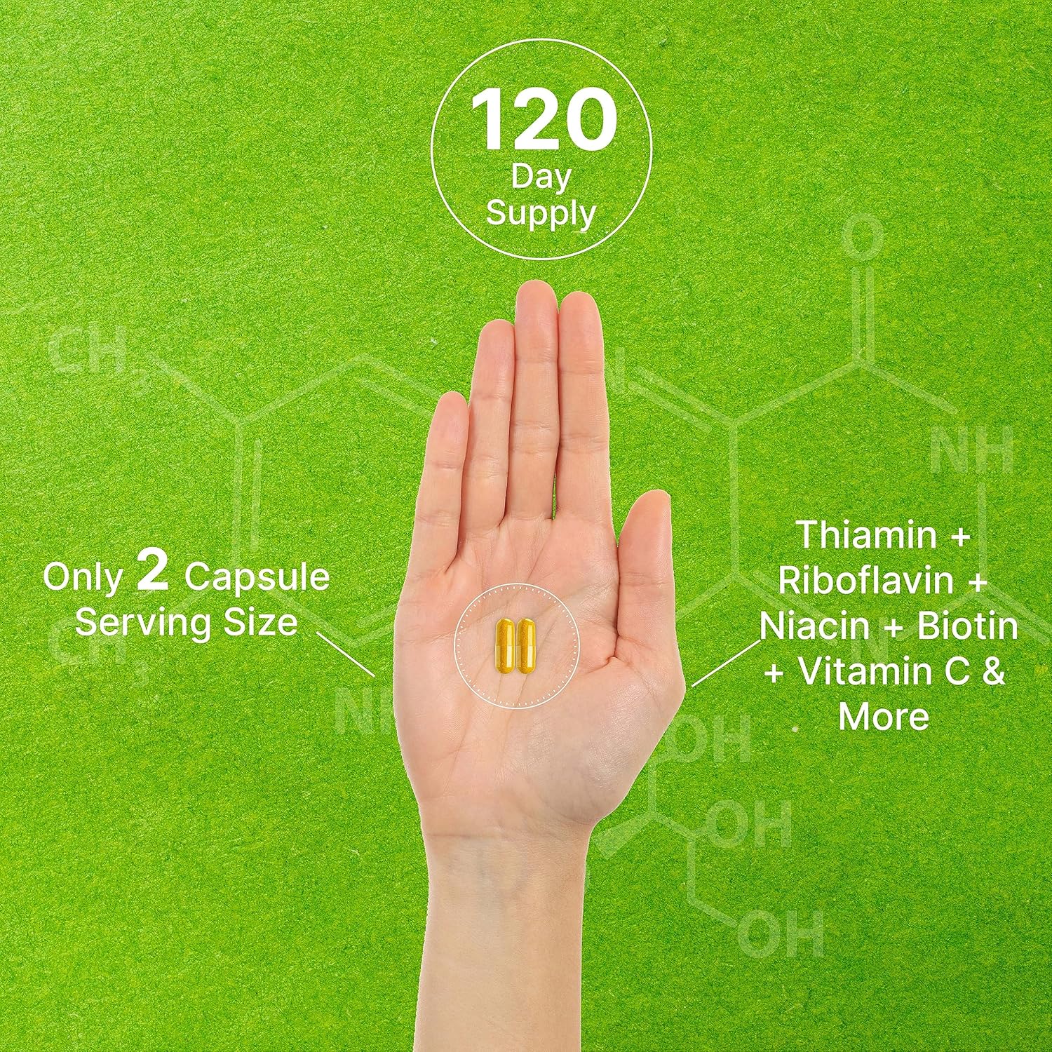 Bioactive Vitamin B Complex, 240 Veggie Capsules - Methylated Multivitamin B Complex & Esterified Vitamin C – High Potency & Easy Absorption – Immune, Energy, & Metabolism Supplement – Non-GMO